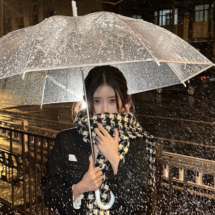 神偷姊妹花粤语