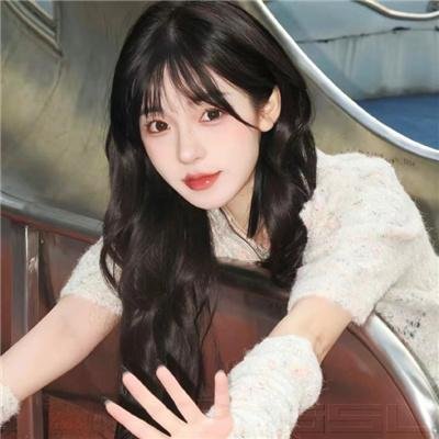 雪莉2024